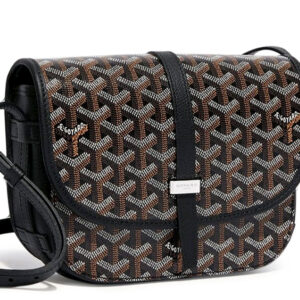 IMG_6129.jpeg Goyard Shoulder Bag